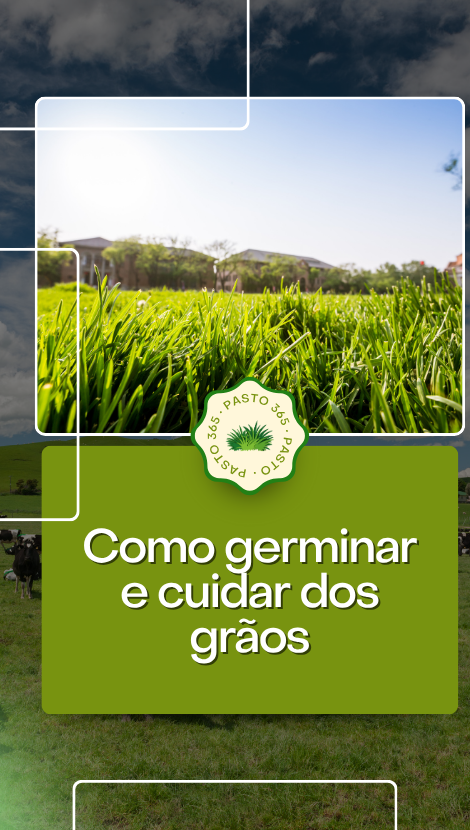 LandingPage