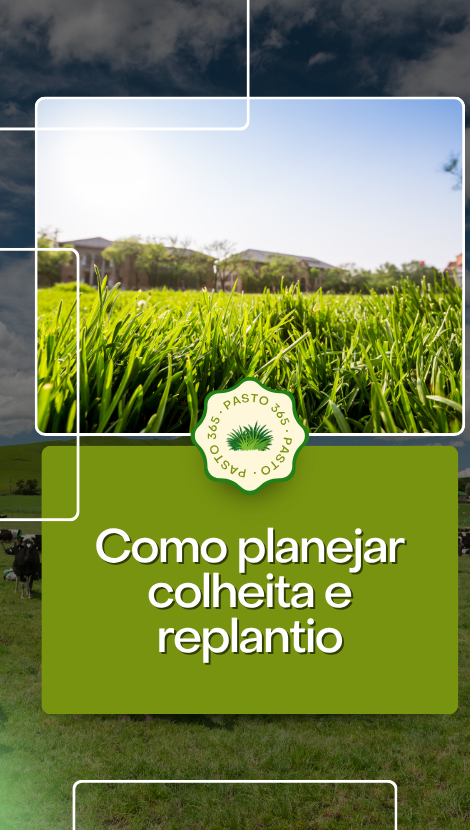 LandingPage