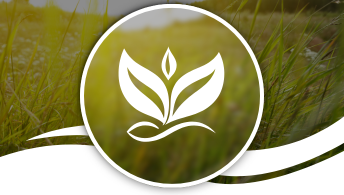 Nutrição superior e melhor desempenho animal